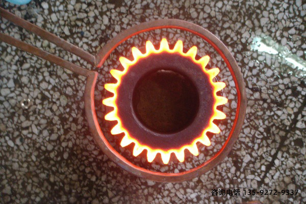 ���̎����аl�Fꠌ������X݆���Ó̼�������